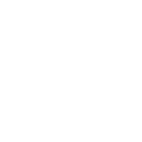 SEO Audits Growth